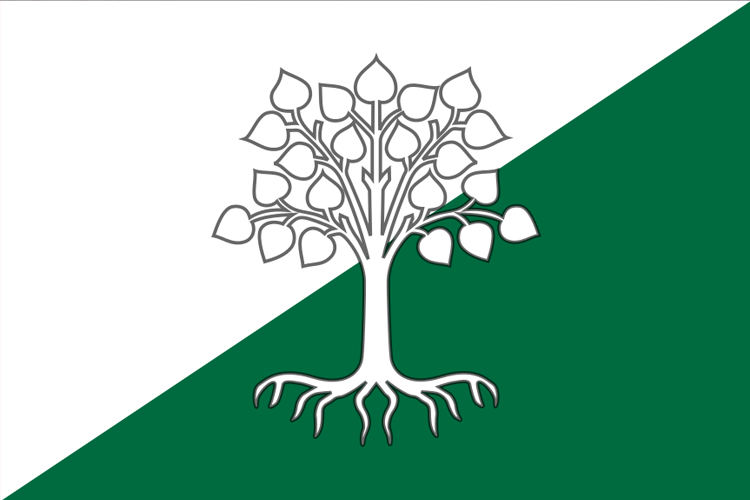 File:Flag of Carpathia.png