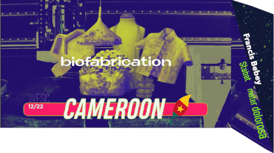 File:WFSC 1222 Cameroon Banner.png