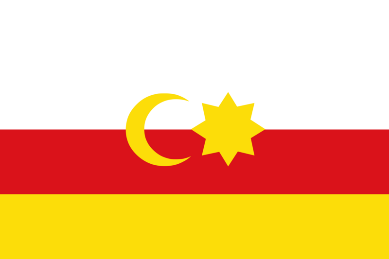 File:Flag of Dimashqi.png