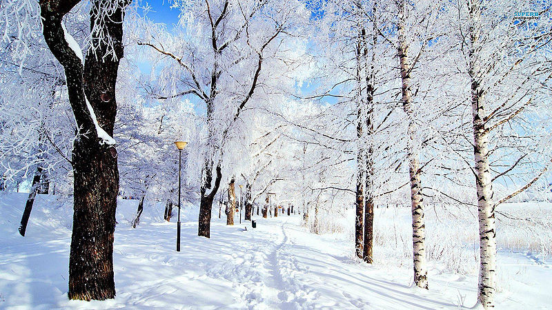 File:Winterhold in winter.jpg