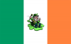 Flag of Irlandia