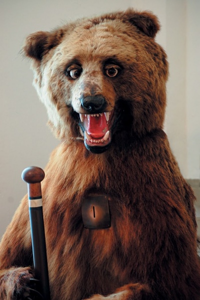 Badly stuffed bear.