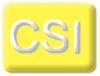 CSI logo.jpg
