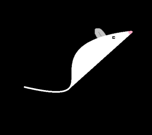 Flag of CS Etorkia.png