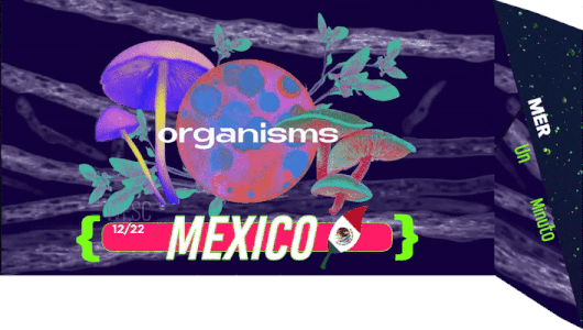 File:WFSC 1222 Mexico Banner.png