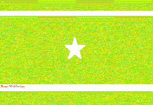 Anselmsuusoniaflag.gif