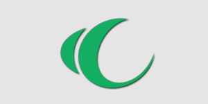 Flag of Silver Wests.png