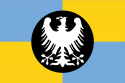 Flag of Volnytaria