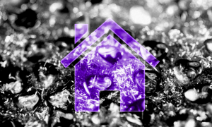 House of Bella Wolfs.png