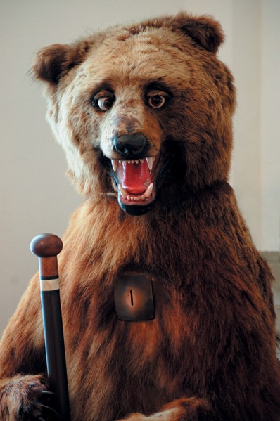 File:Badly Stuffed Bear.jpg